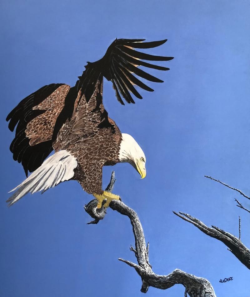 Quadro em acrílico – Acrílico sobre tela 50x60
