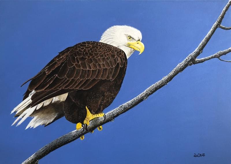 Acrílico sobre tela – Quadro em acrílico sobre tela 60x42